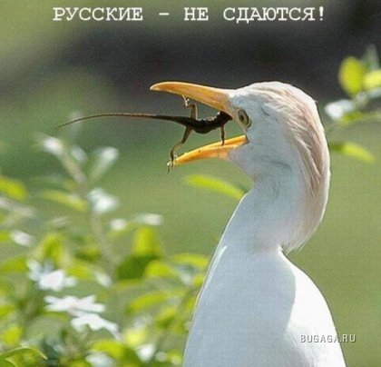 1201544792_23.jpg