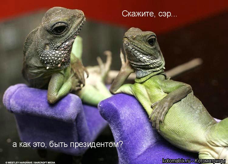 kotomatrix_31.jpg