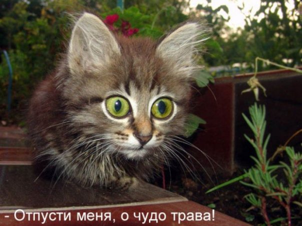 x_6244bbbb.jpg