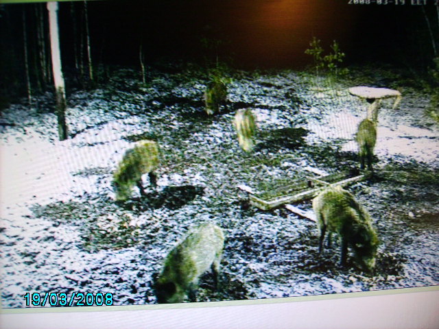 PICT0001.JPG