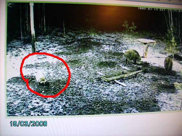 PICT0004.JPG