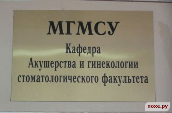 x_737ef6c4.jpg