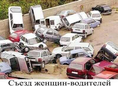 47722-20drivers[1].jpg
