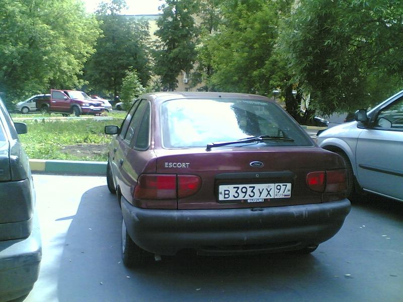 Image(391)_1.jpg