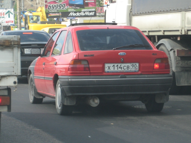 IMG_2354.jpg