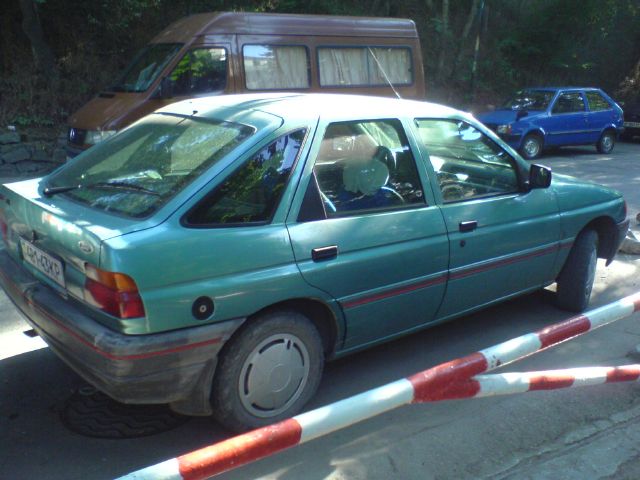 DSC01446.JPG