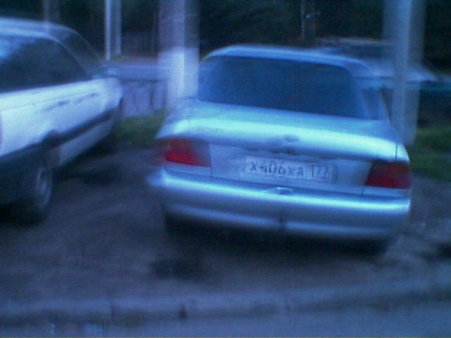 x406xa177.jpg