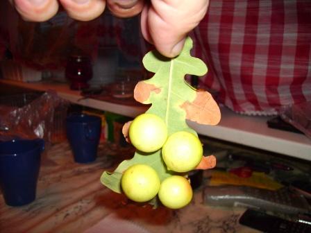 PICT0006.JPG