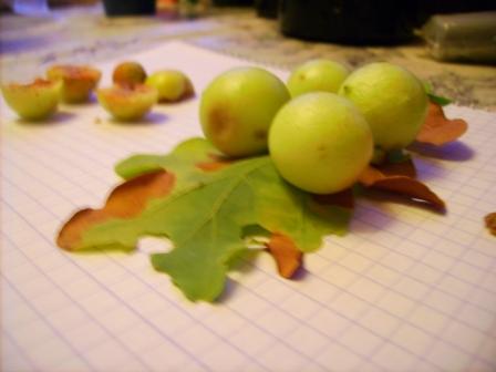 PICT0003.JPG