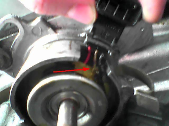 Foto 1559b.JPG