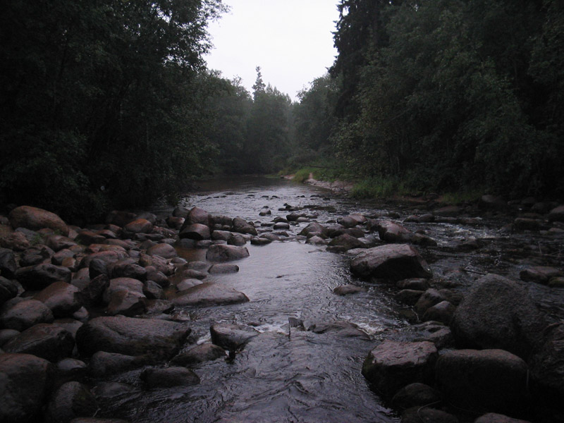 ЯЩЕРКА (1).jpg