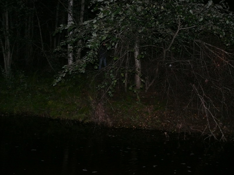 P1020764_800x600.jpg