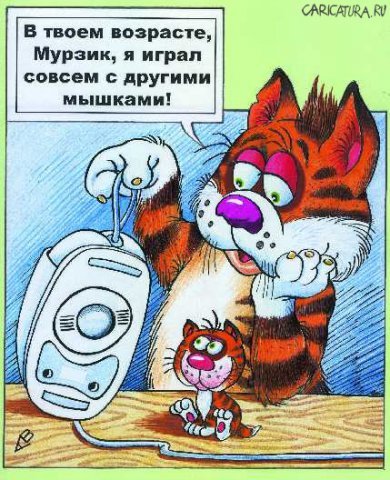 матраскин.jpg