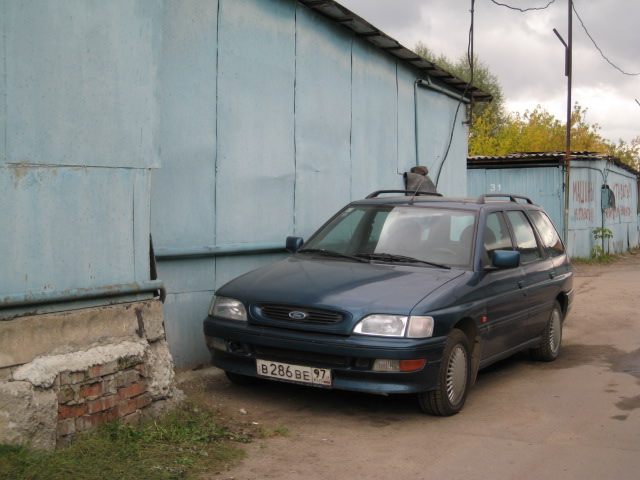 IMG_4345.jpg