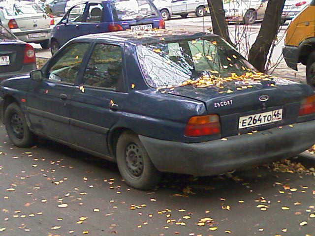 IMAG0016.jpg