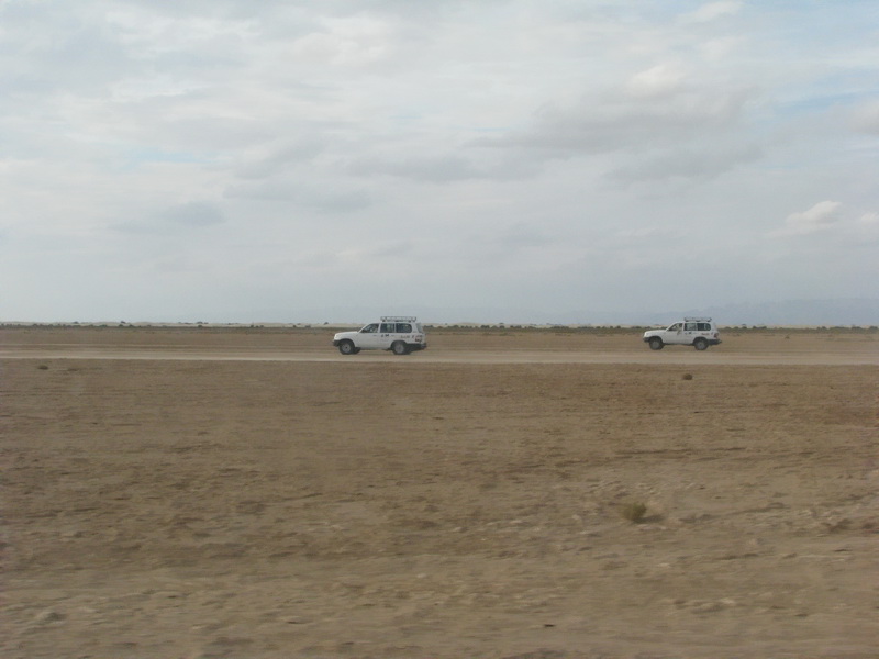 IMG_0874_v1.jpg