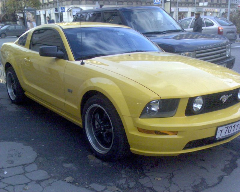 DSC00204.JPG