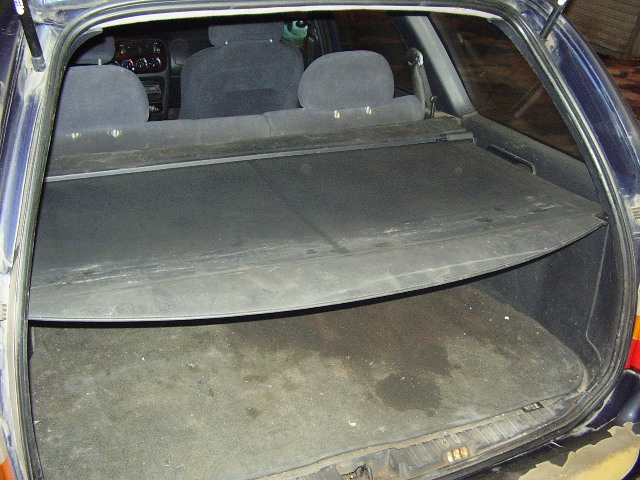 P3170005.JPG