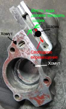 Шарик.jpg
