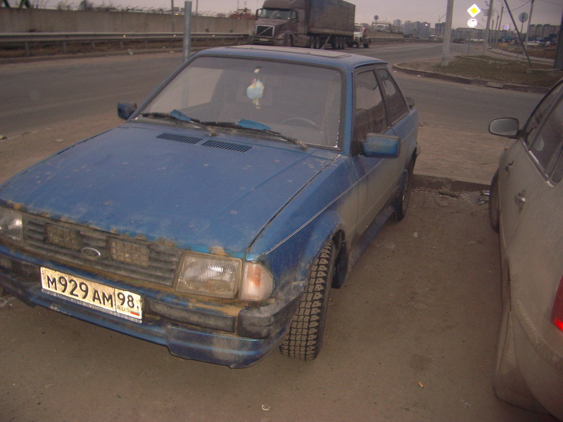 IMGP3654.jpg