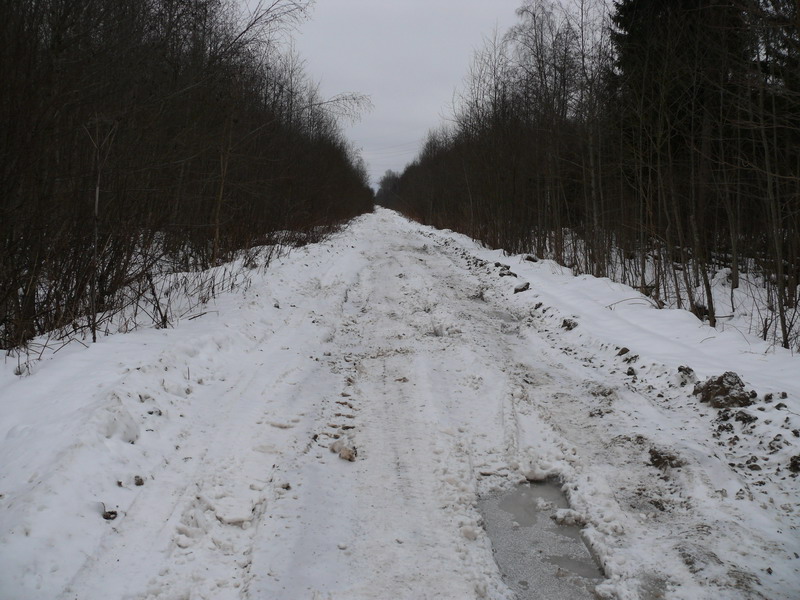 P1060223_800x600.jpg