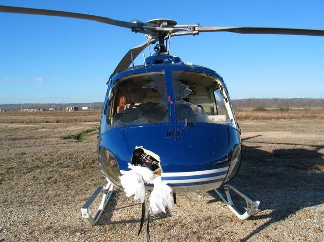 gusi-1.jpg