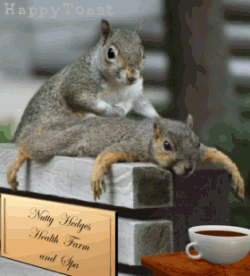 79475fbe9e86d778da.gif