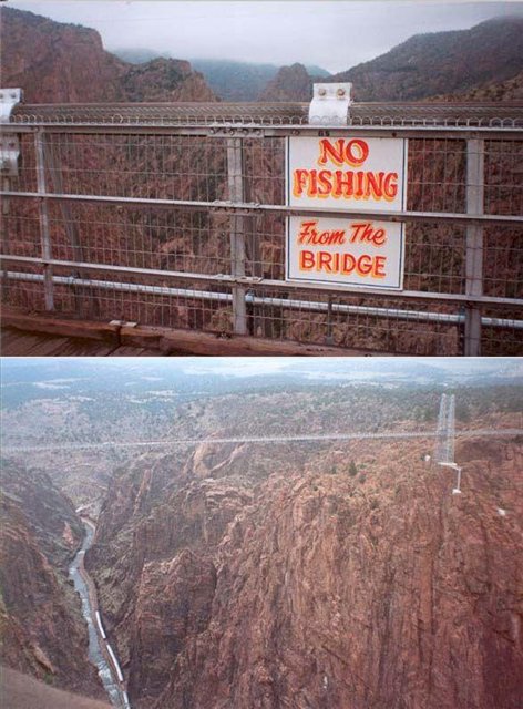 c8f4f6d24baf.jpg