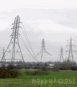 2008_01_31_pics_livejournal_com_mr_kumanin_pic_000bdx4k.gif