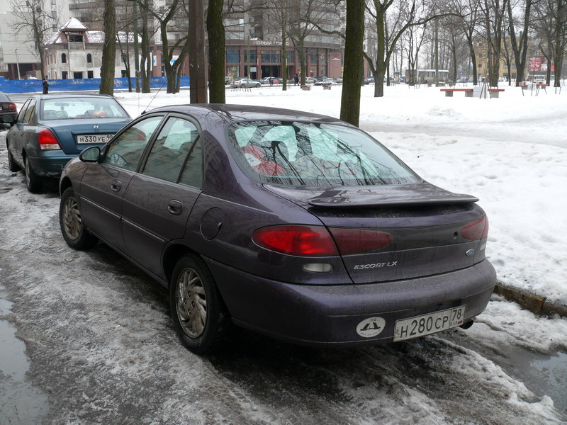 P1070209_800x600.jpg