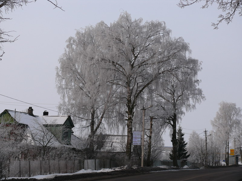 P1070225_800x600.jpg