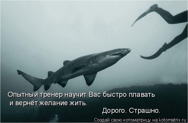 img_11566736_2379_8.jpg