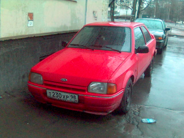 090406_113256.jpg