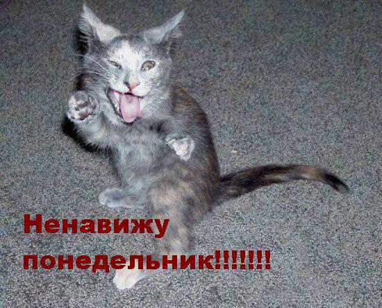 post-2-1127412439.jpg