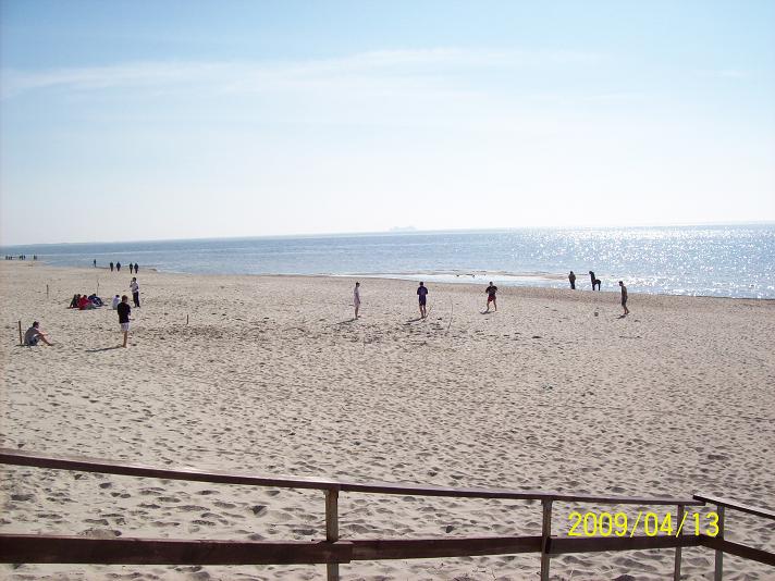 100_1445more.JPG