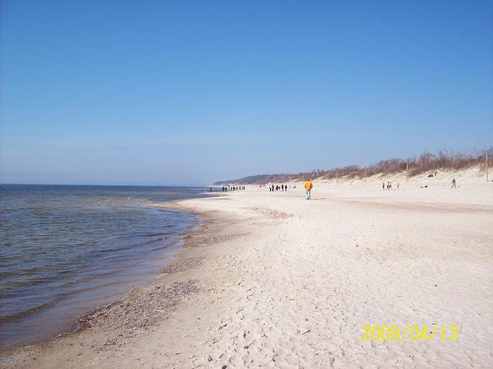 100_1439more.JPG