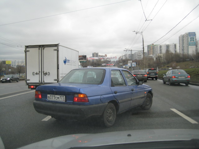 IMG_5446.jpg