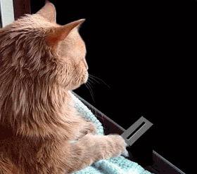 61563ec8dc92.gif