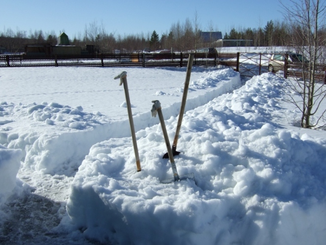 DSCF5799.jpg
