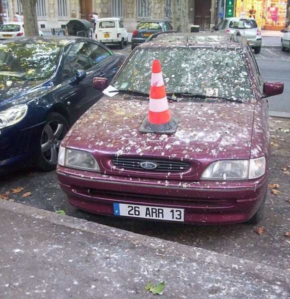 1244013906_010.jpg