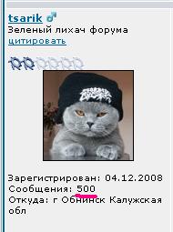 500.JPG
