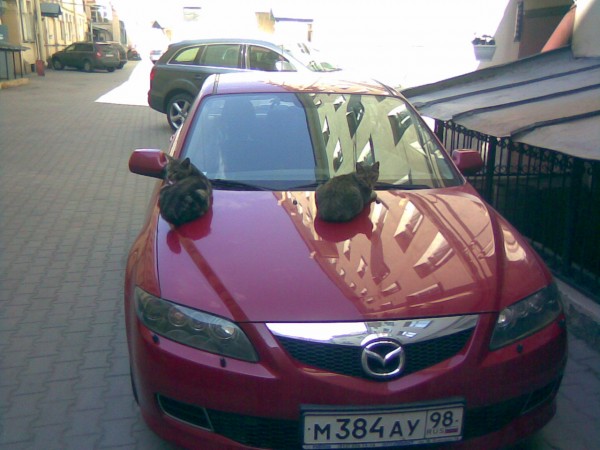 21052009(001).jpg