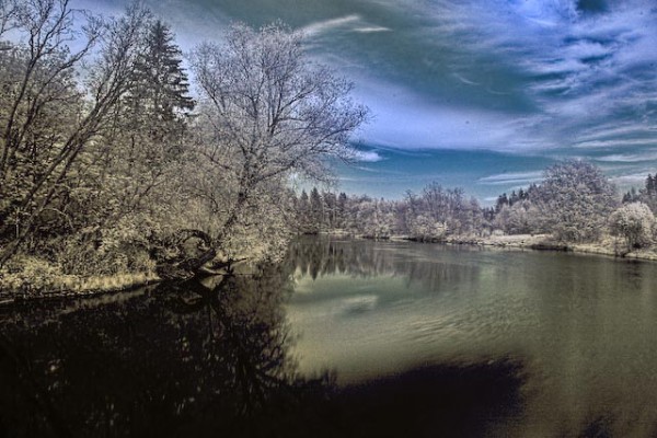 IMGP7338-Edit.jpg