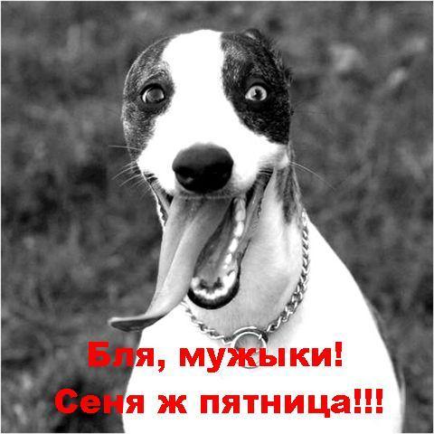 пятница.jpg