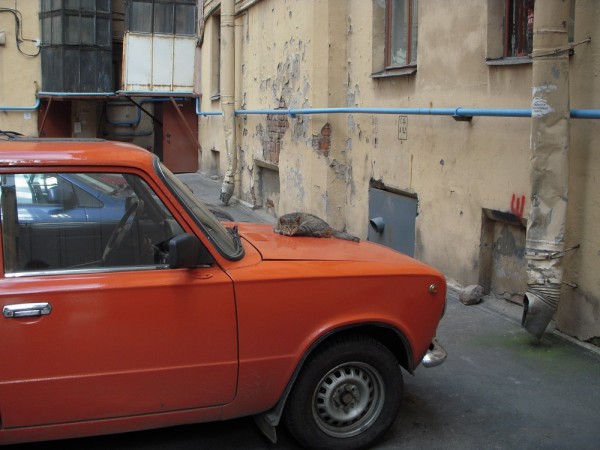 DSCN5511.jpg