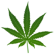 cannabis.gif