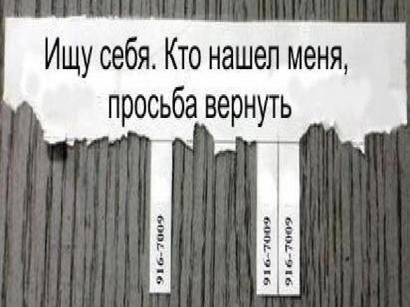 поиск.JPG