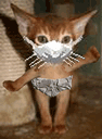 11972586084af724b28f117-1.gif