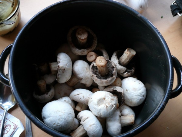 P1190474_800x600.JPG