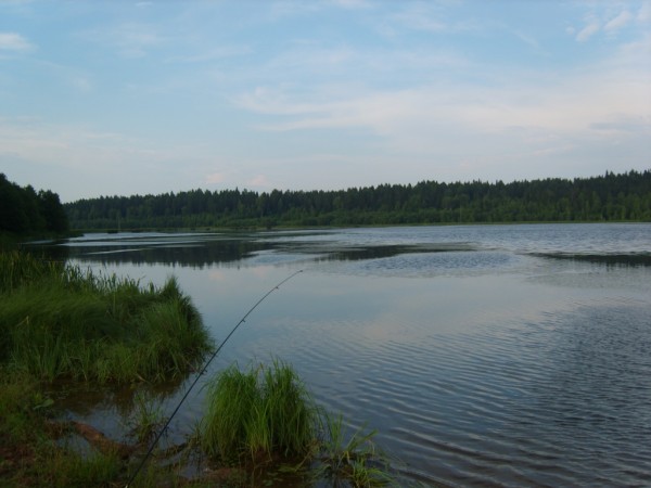 S8304174.JPG